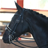 Bride anatomique Dressage Origin