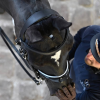 Origin Anatomical Double Bridle