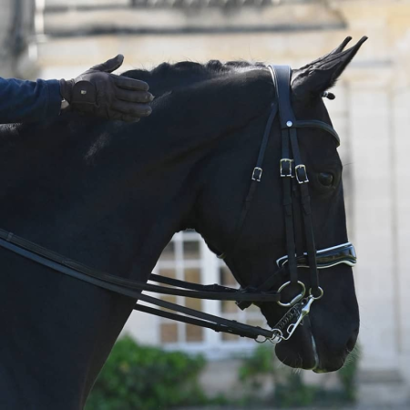 Origin Anatomical Double Bridle