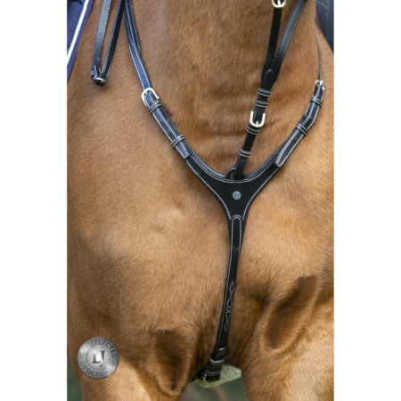 Martingale Heritage Pro Selected