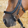 Anatomic Black Crystal Bridle