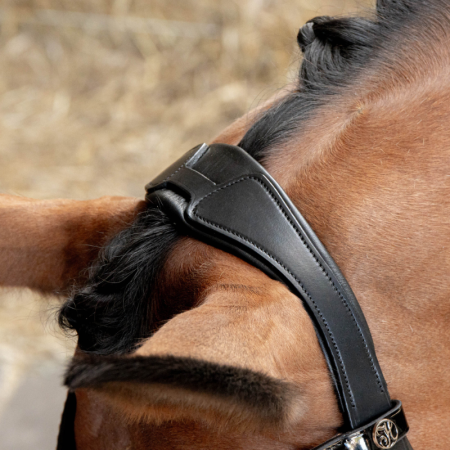 Soft Rosegold Double Bridle