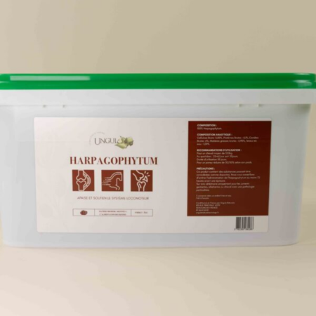 Harpagophytum
