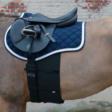 Body bandage for horse