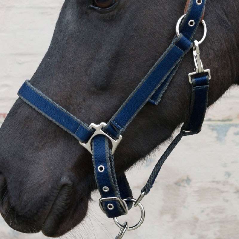 Licol Smart Nylon & Cuir avec longe - DLS EQUITATION