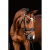 Schockemöhle Sports SP Isabell Werth Johnny Bridle