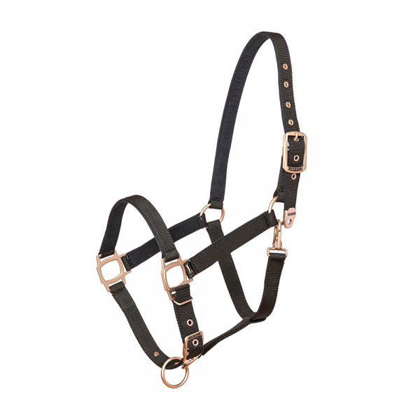Halster New Essential