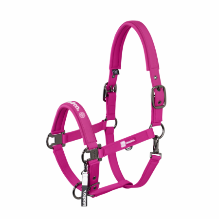 Licol SOFTSHELL DOUBLE PIN Dynamic 26