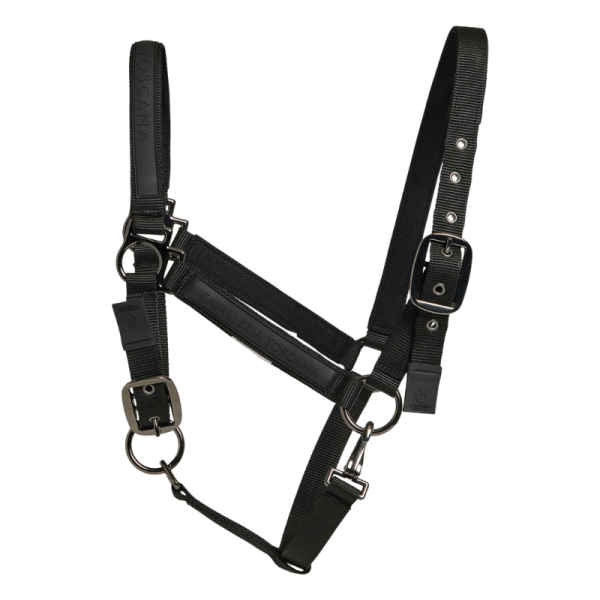 Licol & Corde CT
