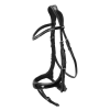 Equitus Beta Glam Anatomisch Hoofdstel