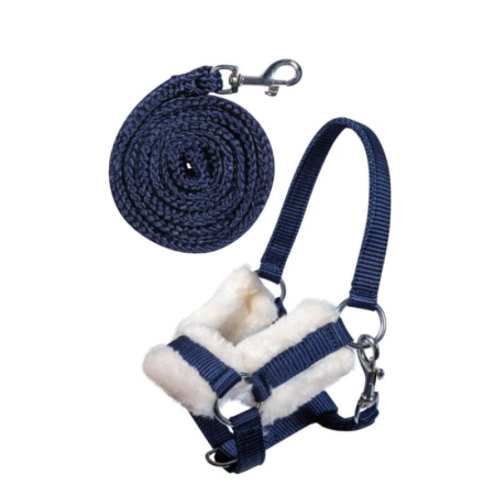 Licol et longe - Hobby Horsing