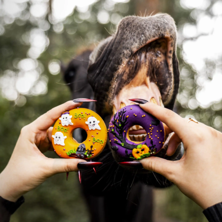 Halloween Horse Treats – Iced Donuts
