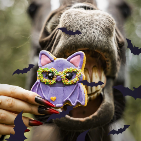 Biscuit glacé CHAUVE-SOURIS - Collection Halloween