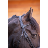 Adagio Bridle – Pénélope