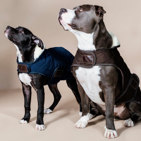 Hondenjas Original
