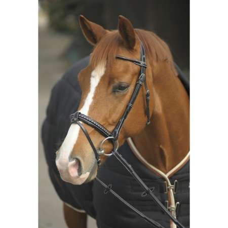 PENELOPE "Point Sellier" Bridle