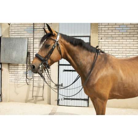 PENELOPE "Point Sellier" Double bridle