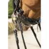 PENELOPE "Point Sellier" Double bridle