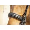 PENELOPE "Point Sellier" Double bridle