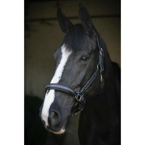 PENELOPE "Point Sellier" Leather halter