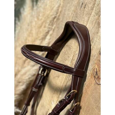 Masters Bridle