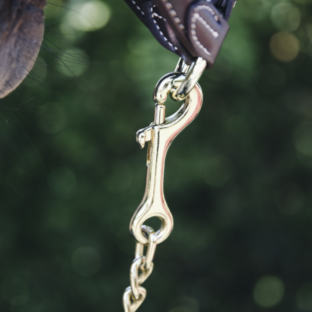 Hengstenketting