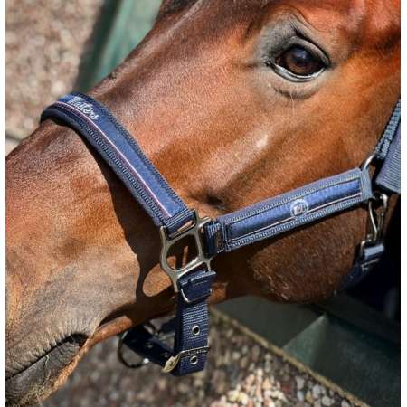 Headcollar Masters - French Colours