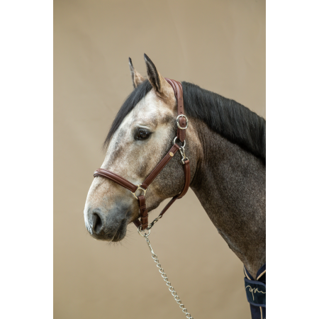 Soft Leather Head Collar - Working by Dy'on