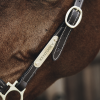 Name Plate Logo Halter