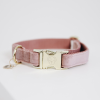 Dog Collar Velvet