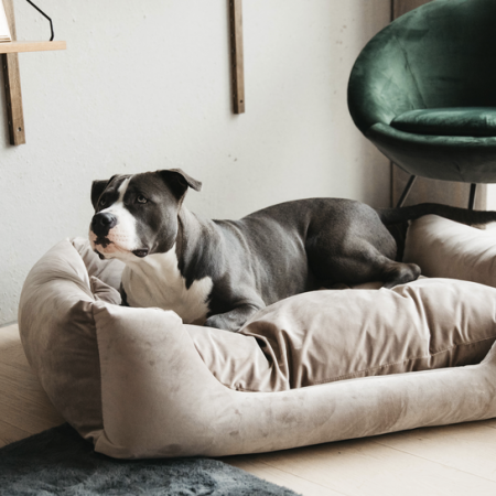 Dog Bed Velvet