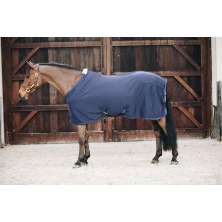 Cooler Fleece Rug