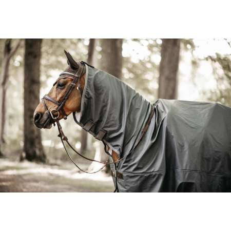 Horse Raincoat Hurricane