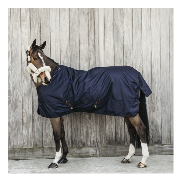 Turnout Rug All Weather Waterproof Pro 160G