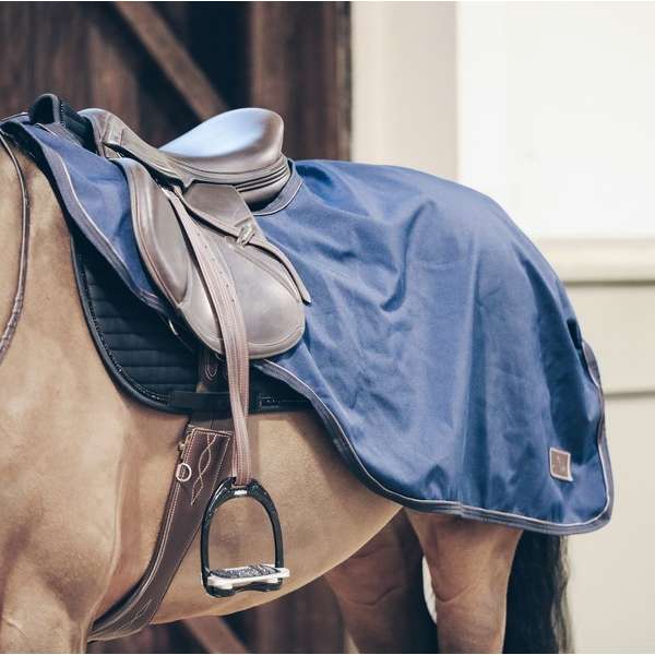 Riding Rug All Weather 160G