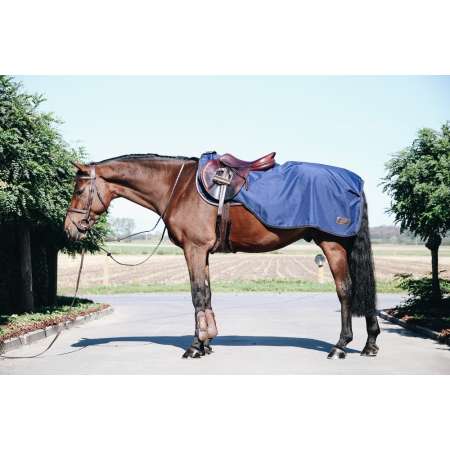 Riding Rug All Weather 160G