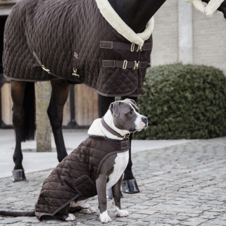 Manteau pour chien Original