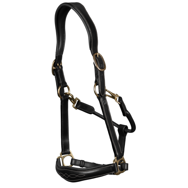 Dy'on Leather Halter 2-in-1