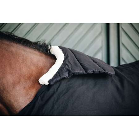 Horse BIB Winter