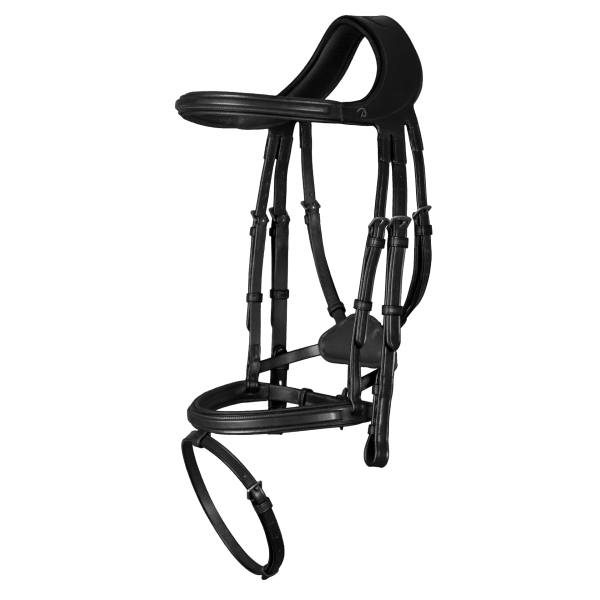 Dy'on New English "Difference" Bridle