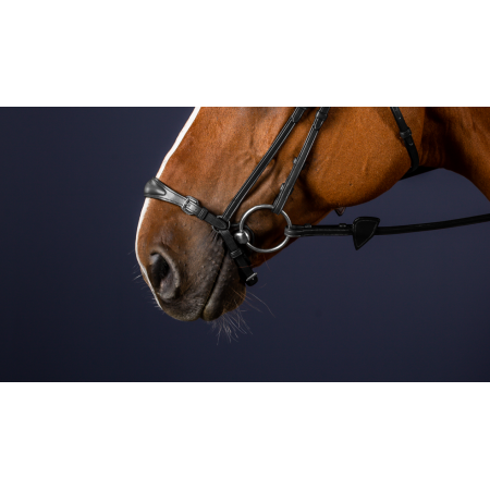 Dy'on New English Adjustable Drop Noseband