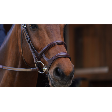 Dy'on New English Double Noseband