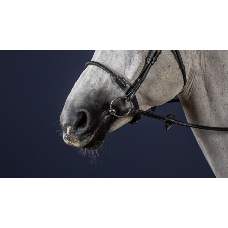 Dy'on New English Leather Covered Rope Noseband