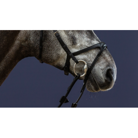 Dy'on New English X-Fit Noseband