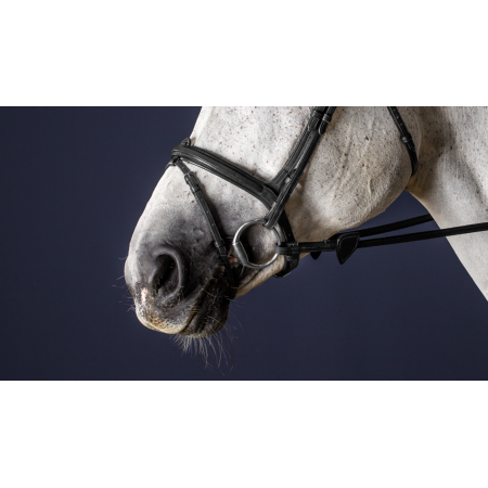 Dy'on New English Flash Noseband