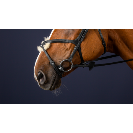 Dy'on New English Figure 8 Noseband