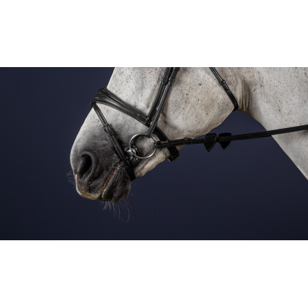 Dy'on New English Anatomic Flash Noseband