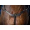 Dy'on New English Collier De Chasse Anatomique