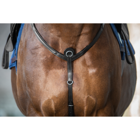 New English Collier  de Chasse