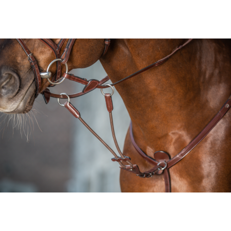 Dy'on New English Fourchette De Martingale A Anneaux Elastique